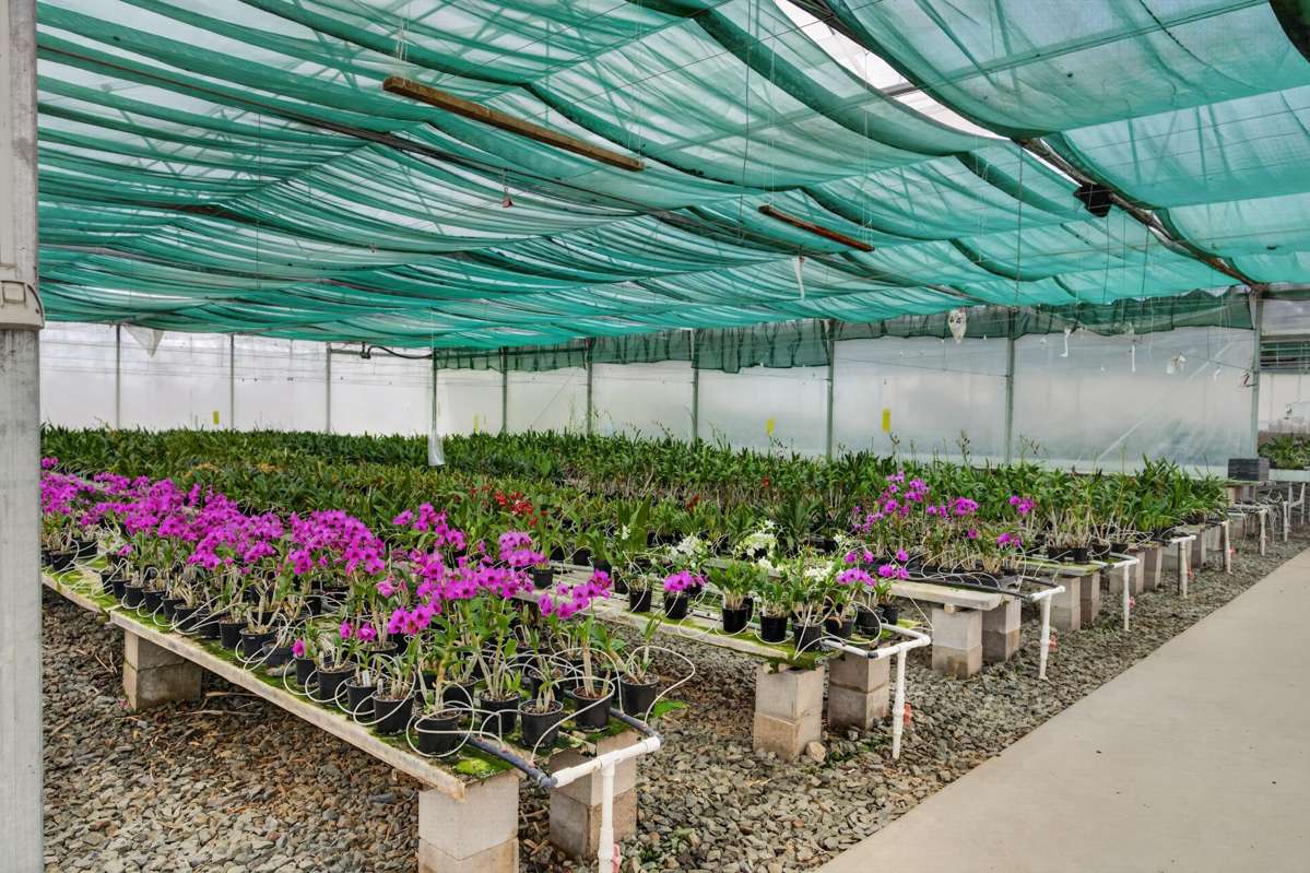 694 Mangakahia Road_1