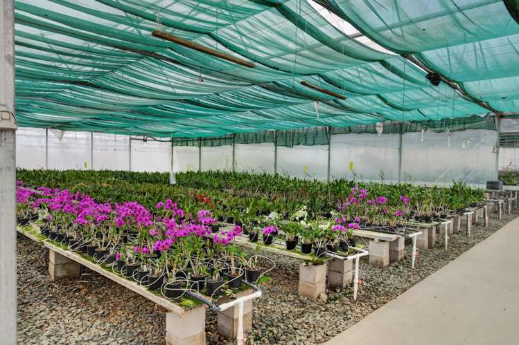 694 Mangakahia Road Poroti_5