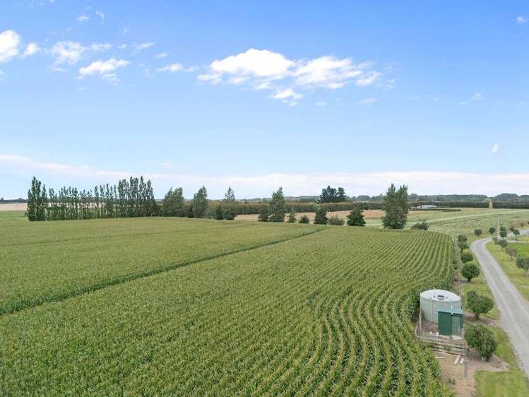 349 Wakanui Road Ashburton_4