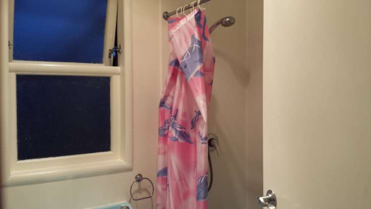 61 Millen Avenue Pakuranga_5