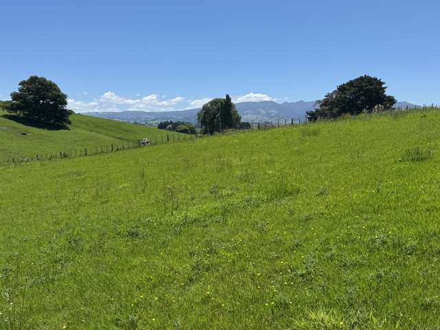 Lot 2 Pokuru Road Rd 3 Te Awamutu_4
