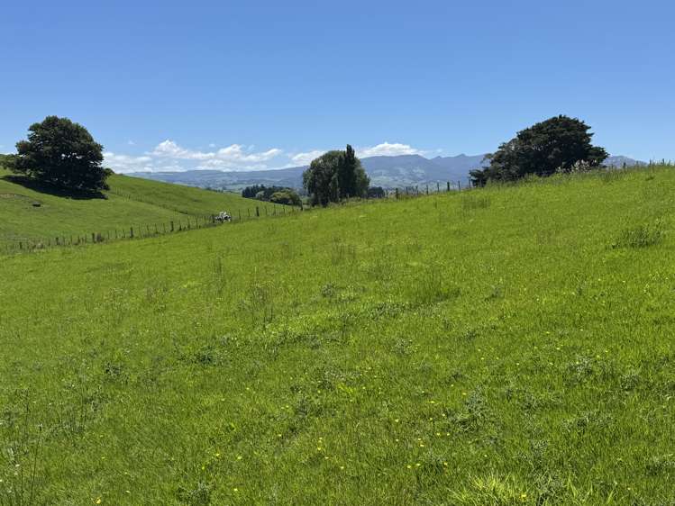 Lot 2 Pokuru Road Rd 3 Te Awamutu_4