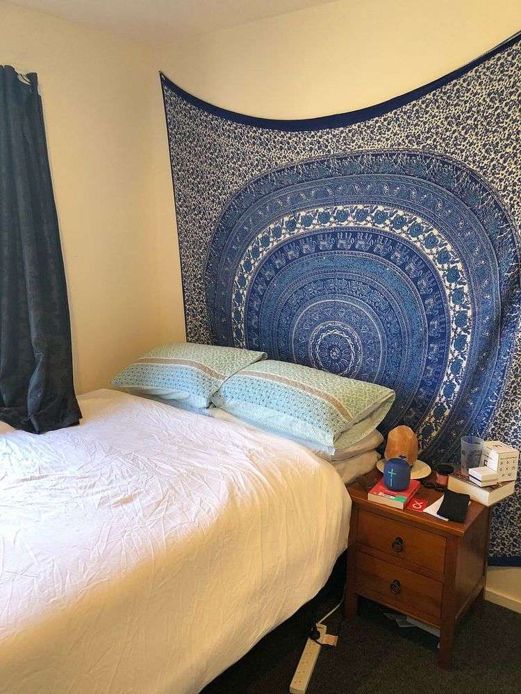 88 Creyke Road Ilam_13