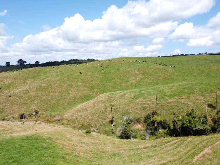 870 Mangati Road Pirongia_38
