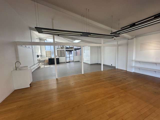 23 Williamson Avenue Grey Lynn_1