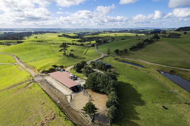 614 Te Maire Rd Te Kopuru_2