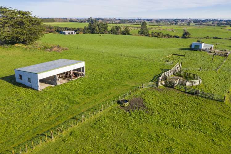 252 Wallace Road Koputaroa_16