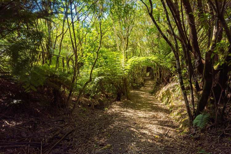 780 Queen Charlotte Drive Havelock_10