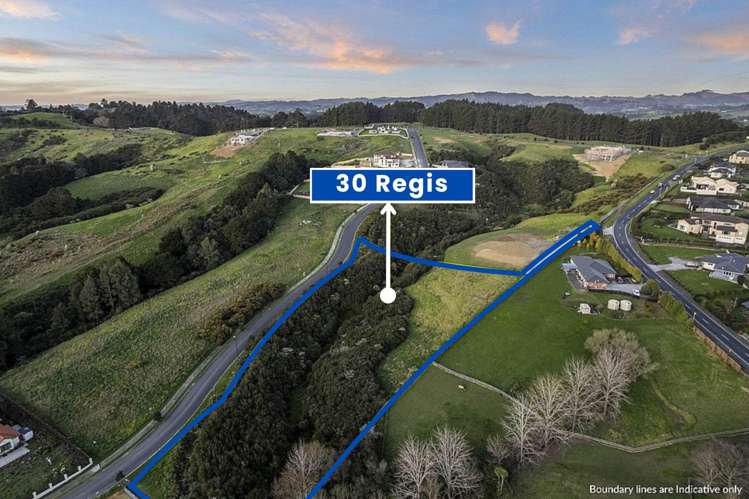 30 Regis Lane Flat Bush_5