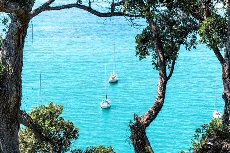 8 Kennedy Point Road Surfdale_19