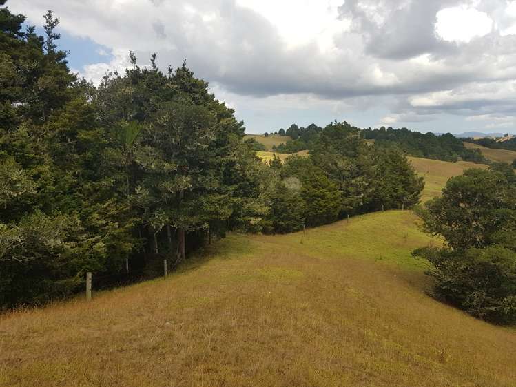 160 Otuhi Road Mangapai and Surrounds_8