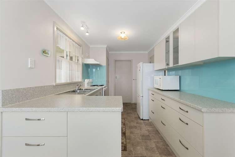 15 Rushton Road Morrinsville_2