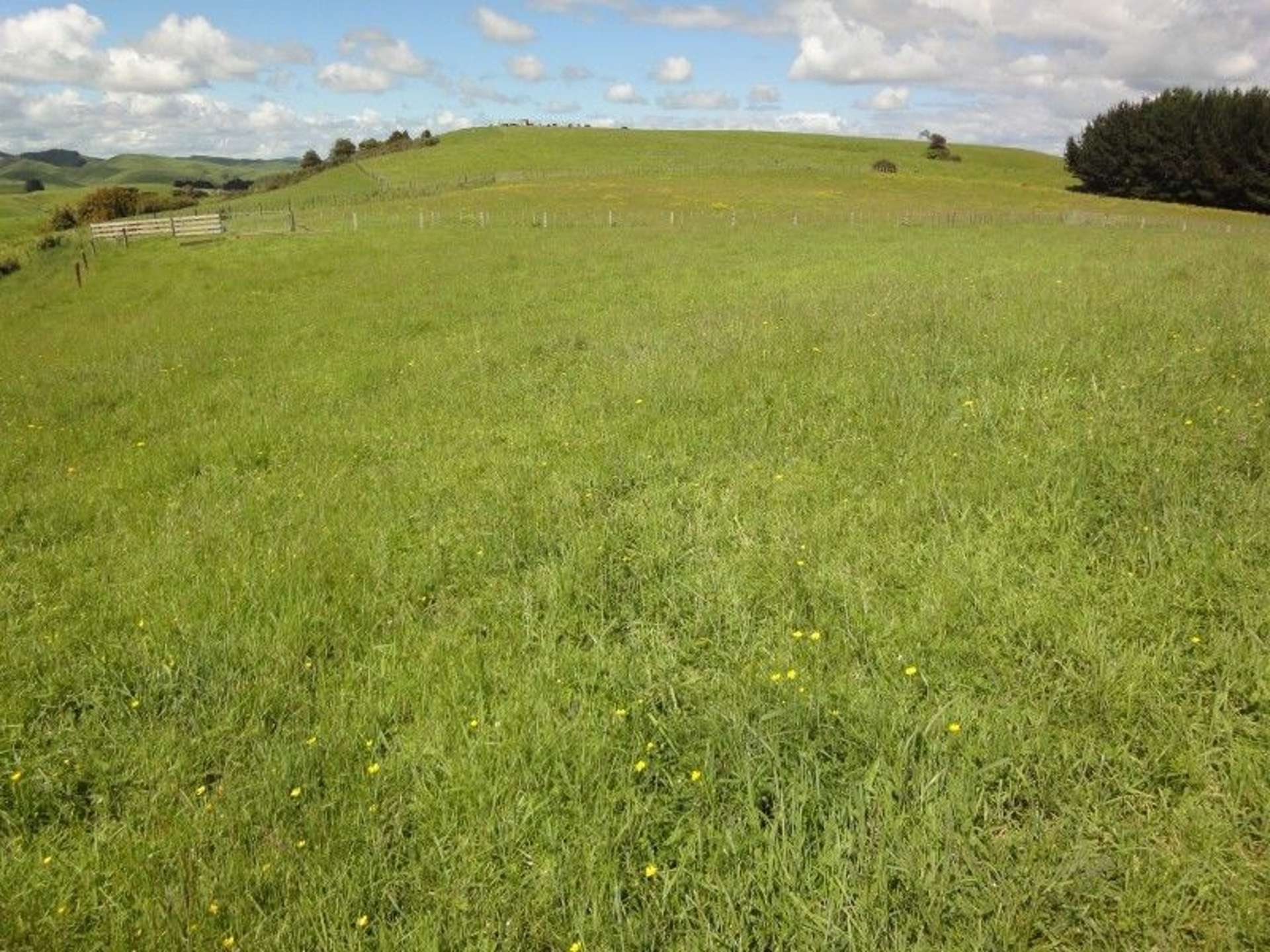 16c Kaitawa Road Pahiatua_0