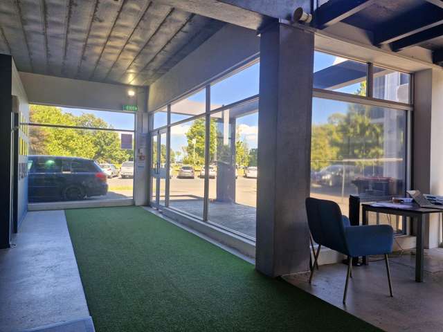 234 Tristram Street Central Hamilton Central_2