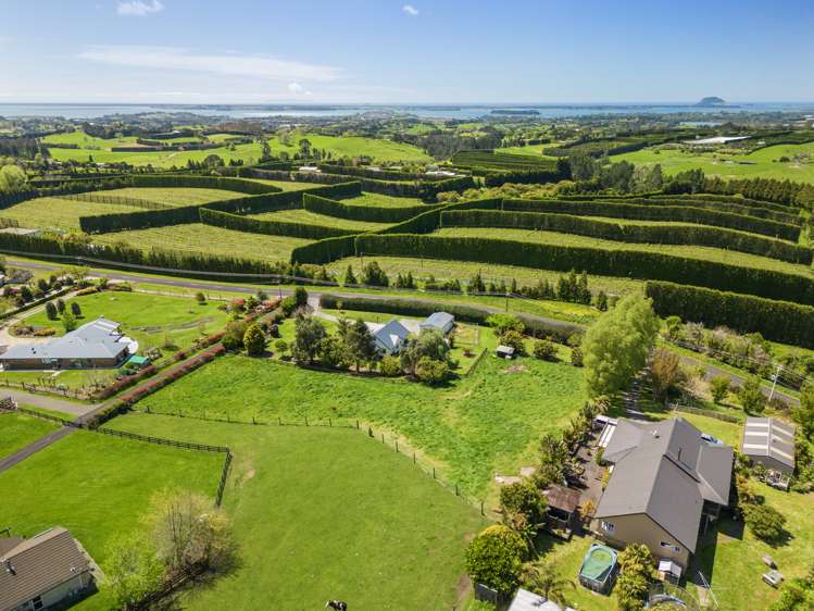 233 Ross Road Whakamarama_23