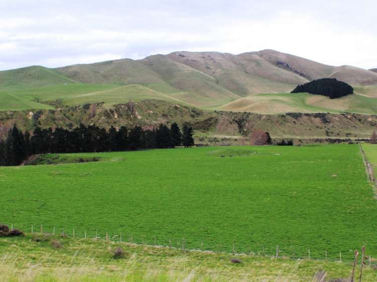 528 Ram Paddock Road Broomfield_22