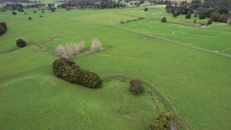 966 Te Ahu Ahu Road Kerikeri Surrounds_1