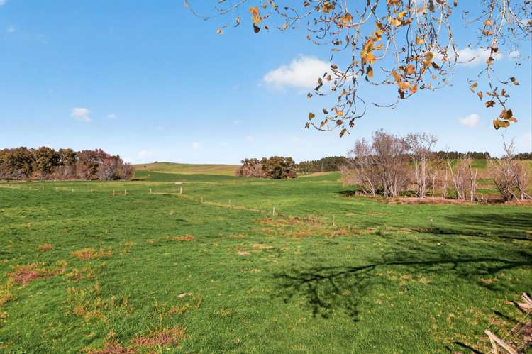 807 Te Ohaki Road Huntly_13