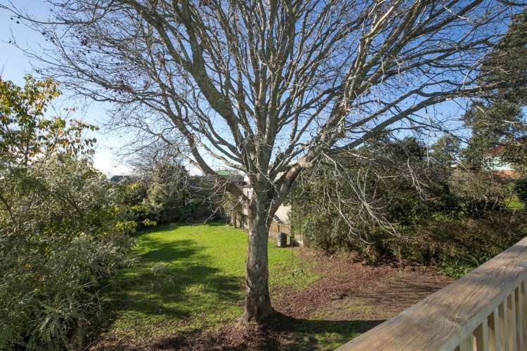 1 Savoy Road Glen Eden_5