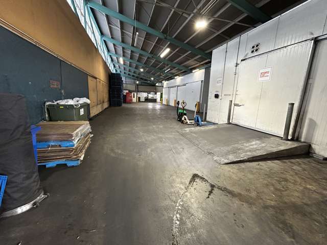 9 Midland Street South Dunedin_3