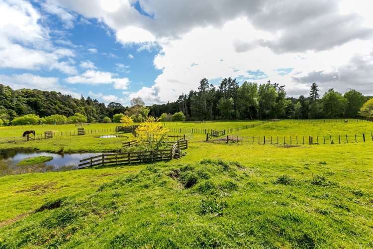 317 Mangorei Road Merrilands_27