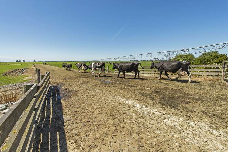 1610 North Rakaia Road Southbridge_13