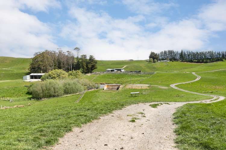 300 Pattison Road Waipukurau_8