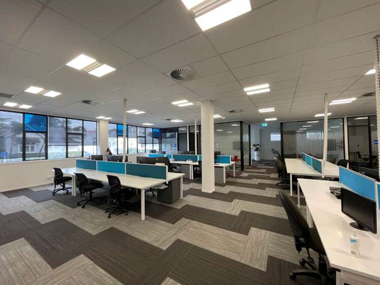 4 Murdoch Road Grey Lynn_6