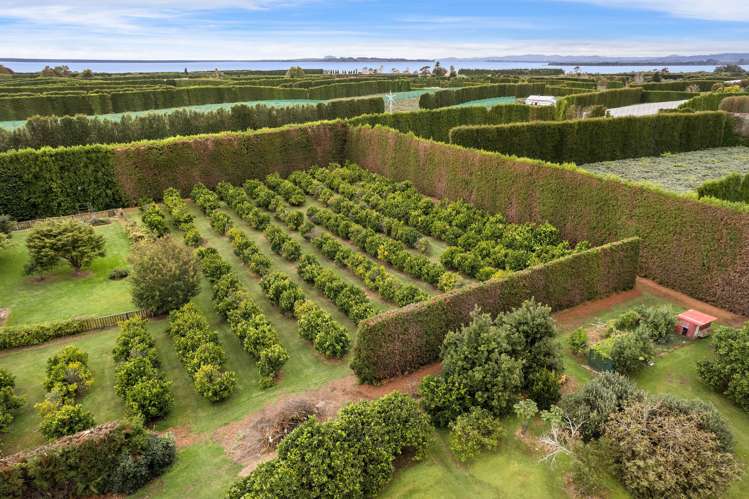 92 Pukakura Road Katikati_22