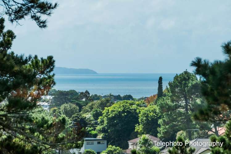 A101/525 East Coast Road Browns Bay_23