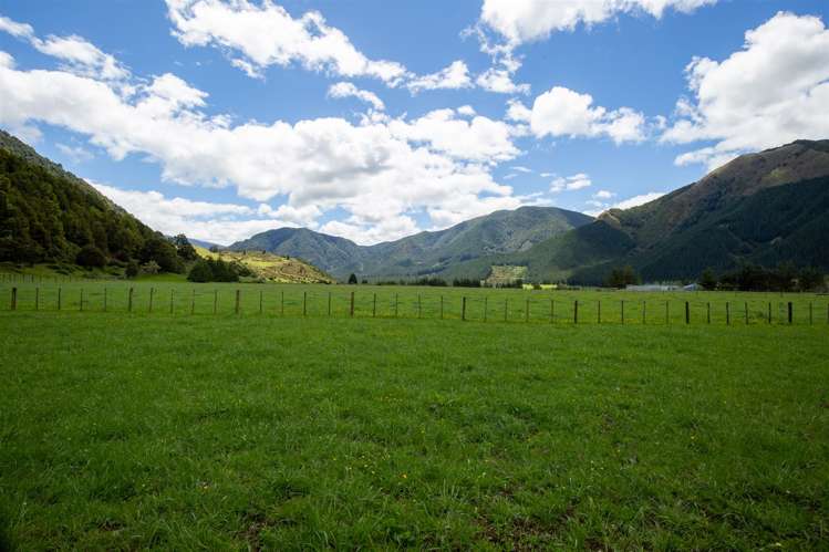 614 Gowan Valley Road Kahurangi National Park_17