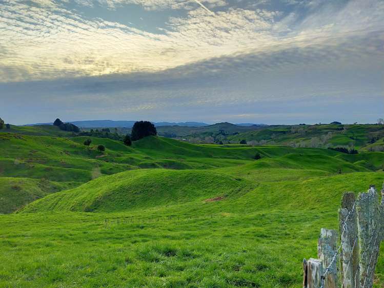 80 Parakoko Road Aria_20