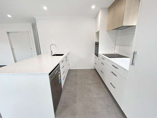 490b Ferguson Street 2138_3