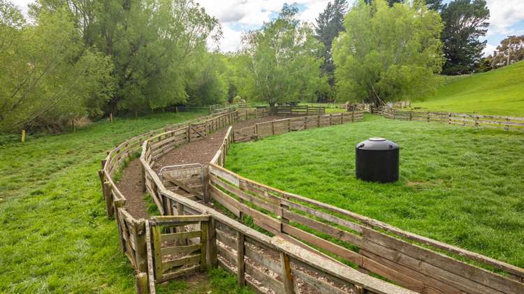 1157 The Peaks Road Hawarden_18