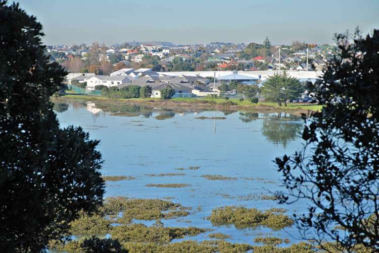 79 Ngataringa Road Devonport_20