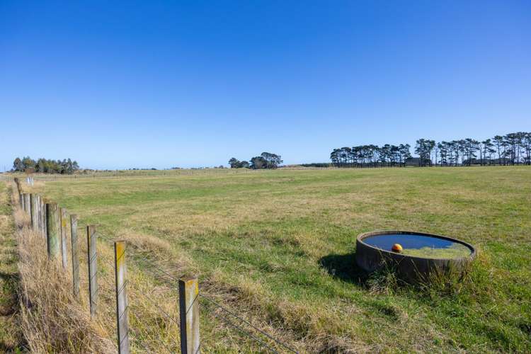 177 Downs Road Himatangi_5