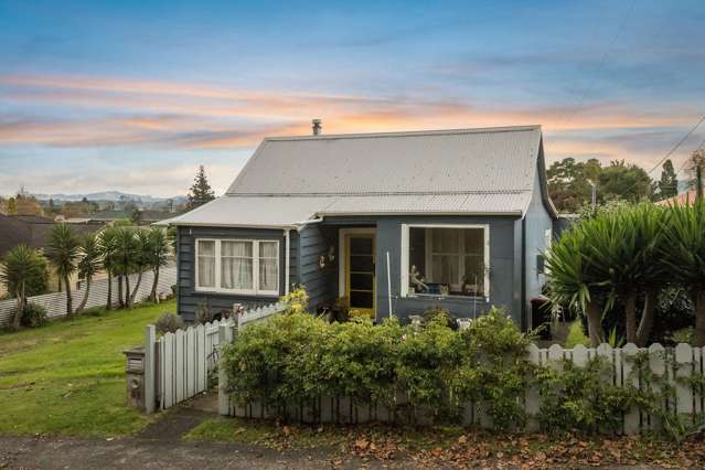 31 Parry Palm Avenue Waihi_1