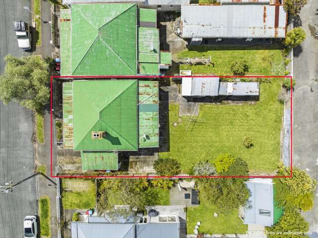 48 Rose Road Grey Lynn_1