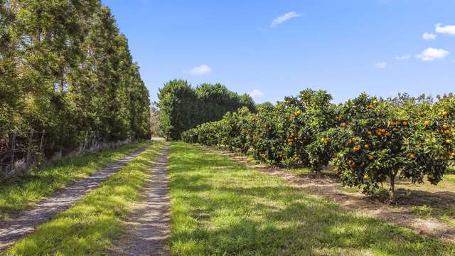 908 Te Ahu Ahu Road Waimate North_3