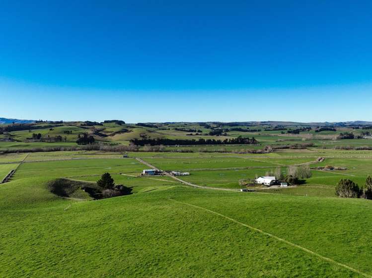 379 Waikaka Road Maitland_15