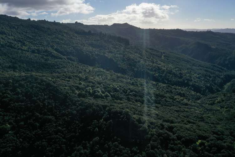 196 Griffiths Road Ruatoria_13