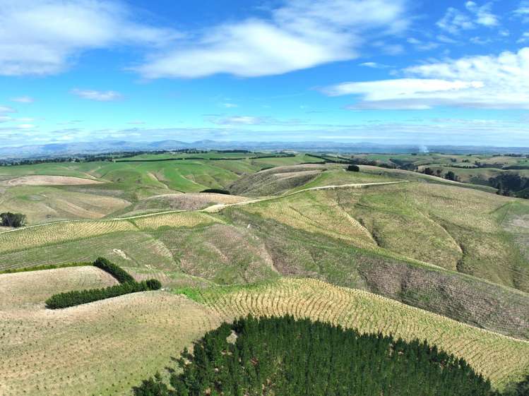 174 McCulloch Road Awamangu_20