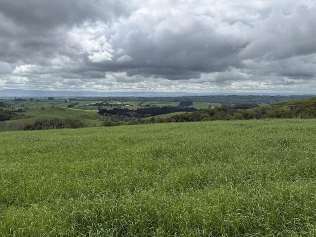 Taotaoroa Road Karapiro_4