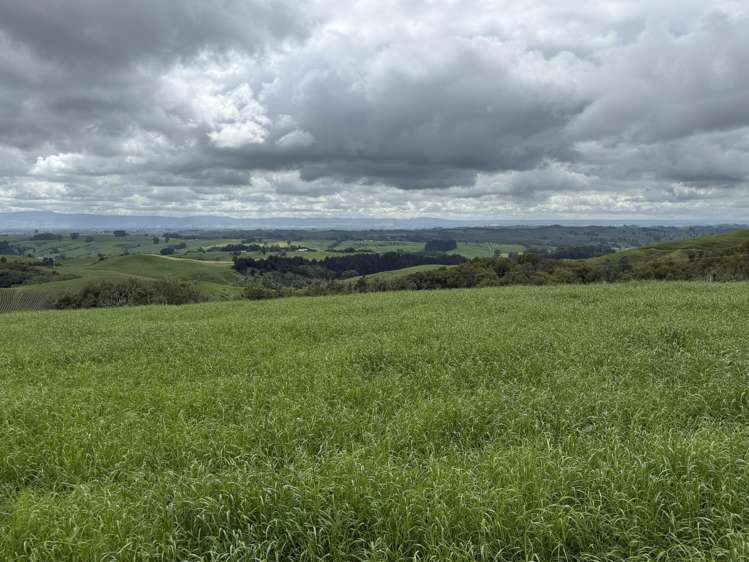 Taotaoroa Road Karapiro_4