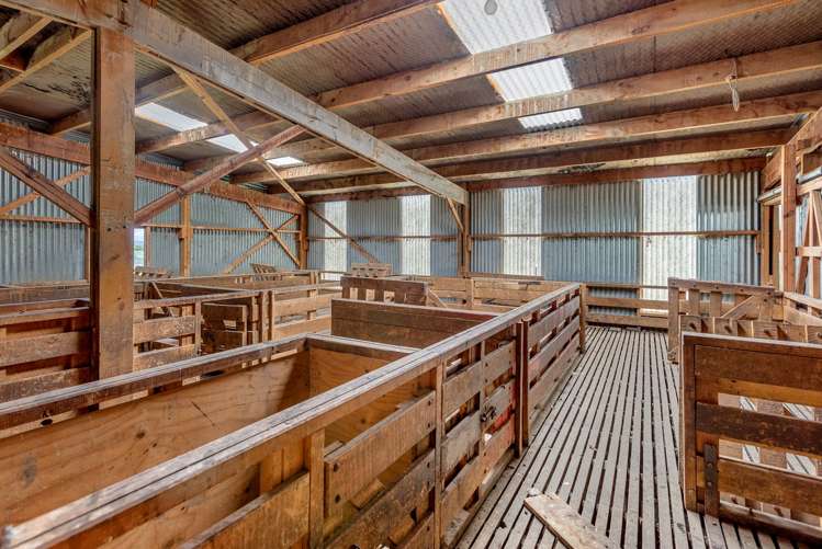 Pyramid Waiparu Road Riversdale_15