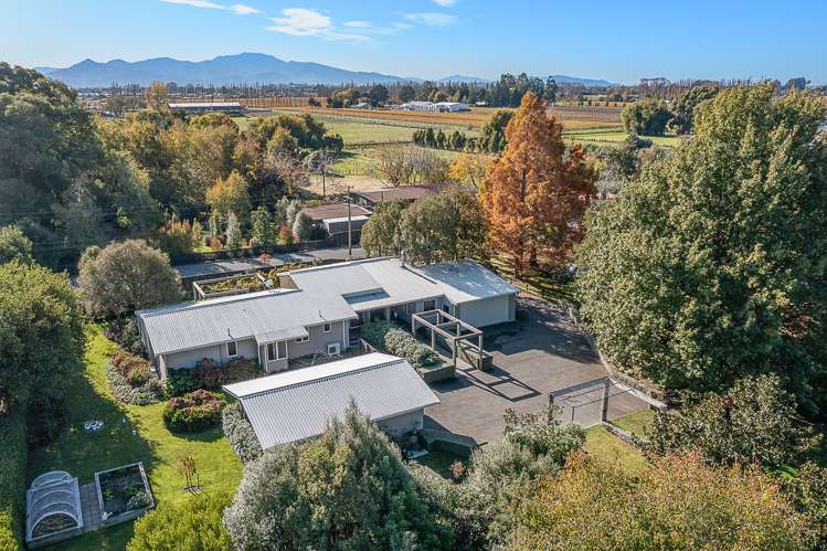 196 Oakwood Lane Witherlea_37