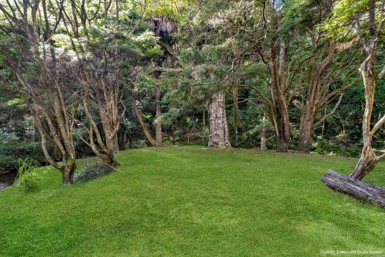 OWHIWA ROAD ONERAHI_5