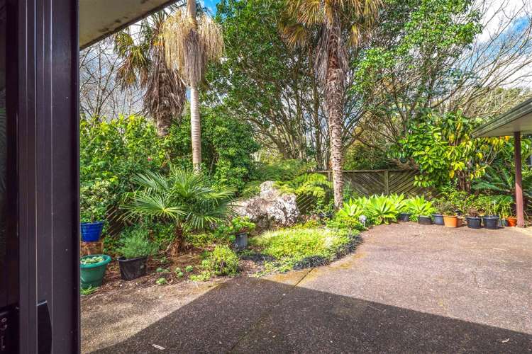 317 Waipapa Road Kerikeri Surrounds_20