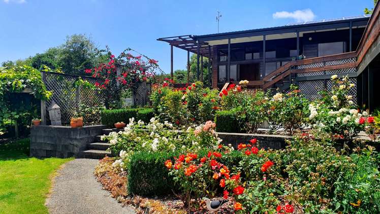 76 Brick Bay Drive Sandspit_22