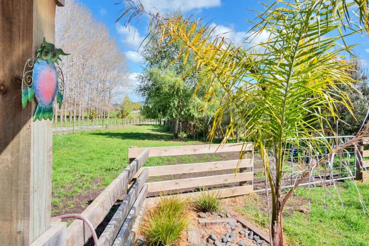 84 Streamlands Swamp Road Kaipara Flats_19